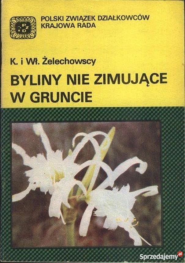 BYLINY NIE ZIMUJĄCE W GRUNCIE podlaskie Białystok