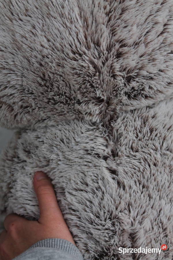 Duża Koala z eukaliptusem Maskotka Pluszak śląskie Katowice