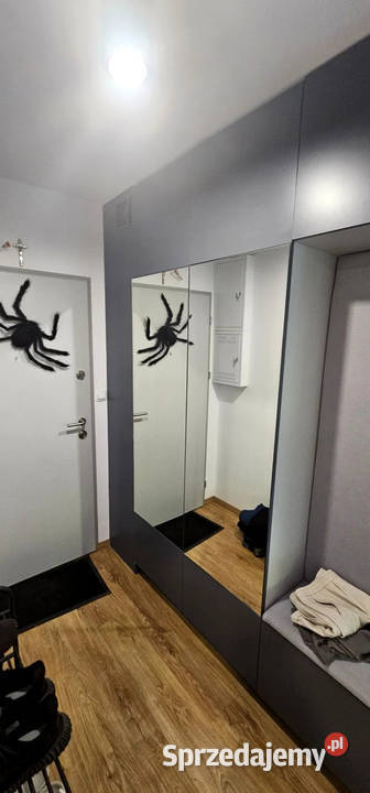 3 pokoje z ogródkiemzwierzęta mile widziane Gdańsk