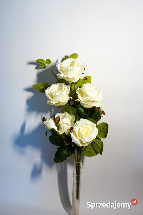 Bukiet róż w kolorze białym Wszystkich Świętych Częstochowa