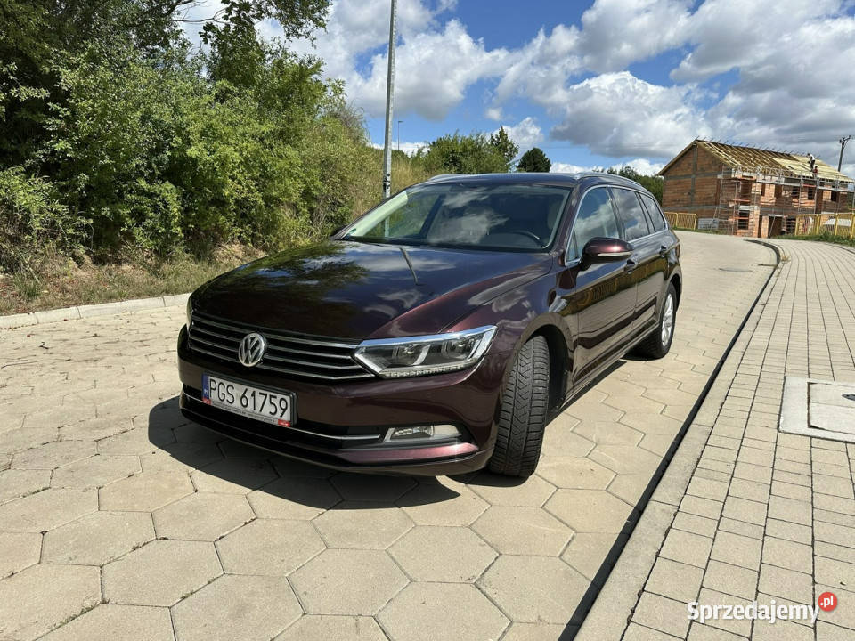 Volkswagen Passat Volkswagen Passat B8 16TDI nawigacja Gostyń