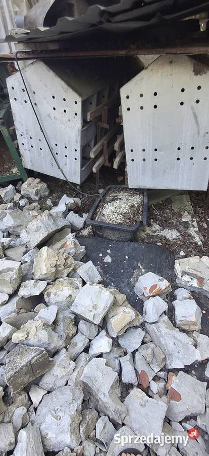 Klata kur niosek Rolnictwo Sonina sprzedam