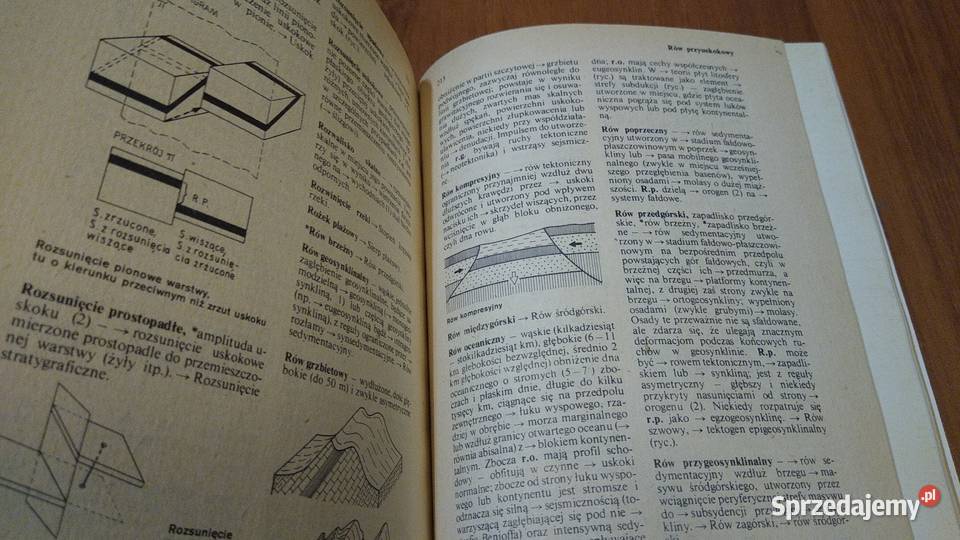 Słownik geologii dynamicznej Wojciech Gdańsk