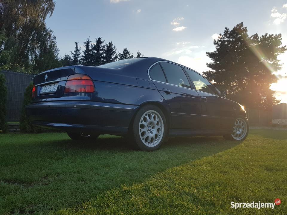 BMW E39 Lmuzyna Byczyna