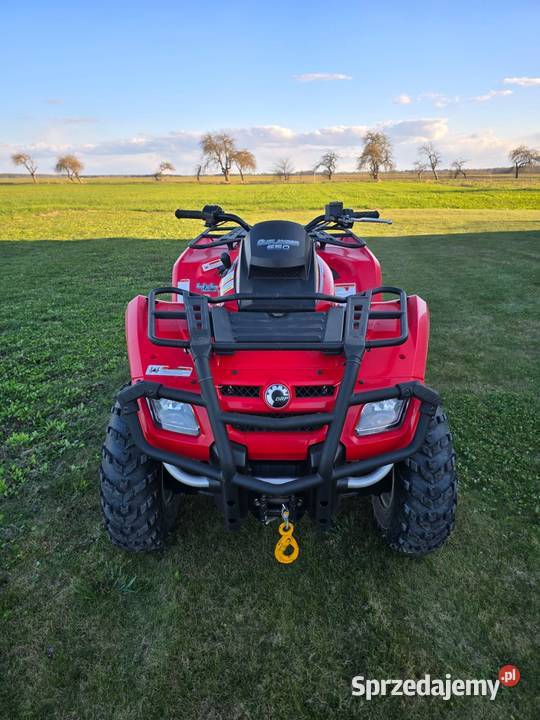 Quad can am 650 Łuków sprzedam