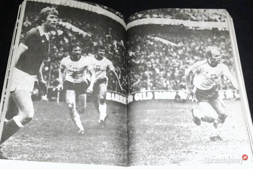 Cnoty i błędy Witold Duński miękka Chełm