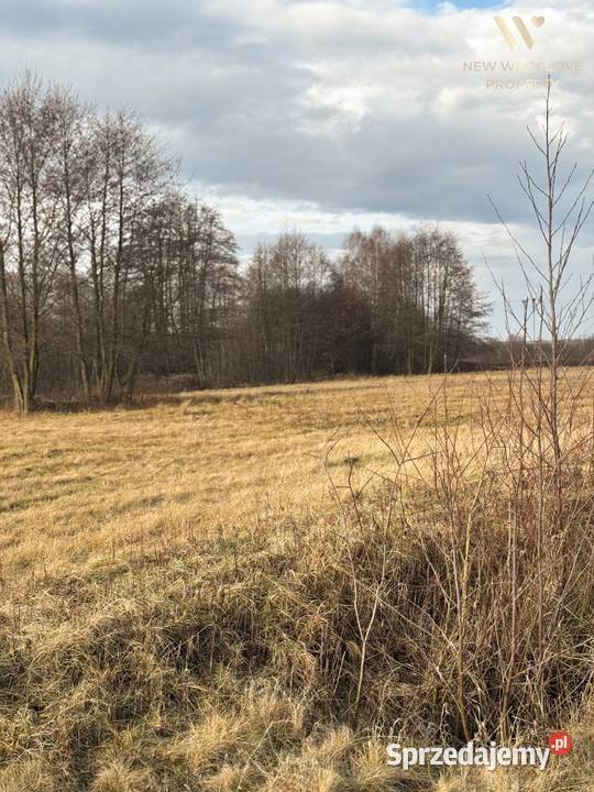 Duża działka rolna bezpośrednio drodze Złotów sprzedam