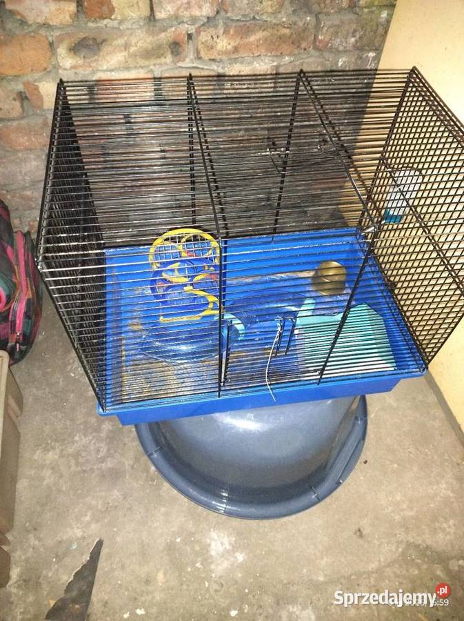Klatka gryzoni ptaszków Częstochowa