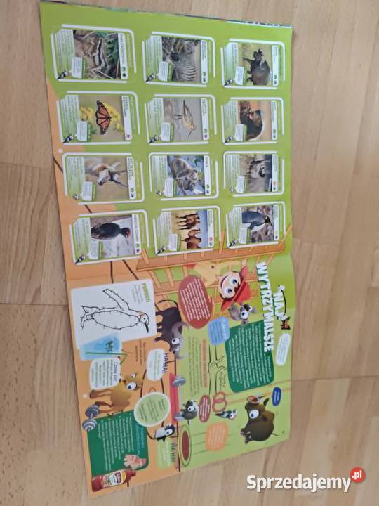 Książki kolorowanki łamigłówki dzieci Hajnówka
