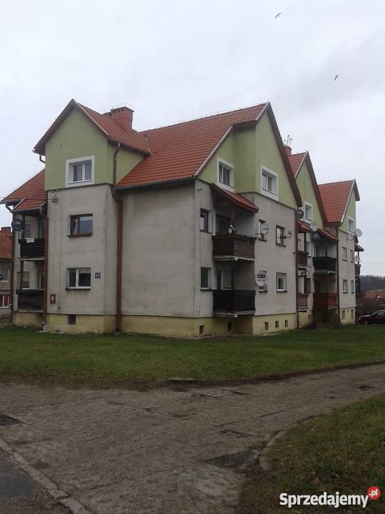 sprzedam mieszknie w Tolkmicku