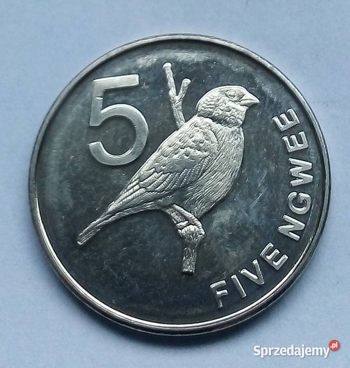 ZAMBIA5 NGWEE2012 r PTAKŁADNA Legionowo