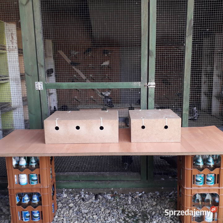 Klatki transportowe Transportówki Mocne Wysyłka Karpacz