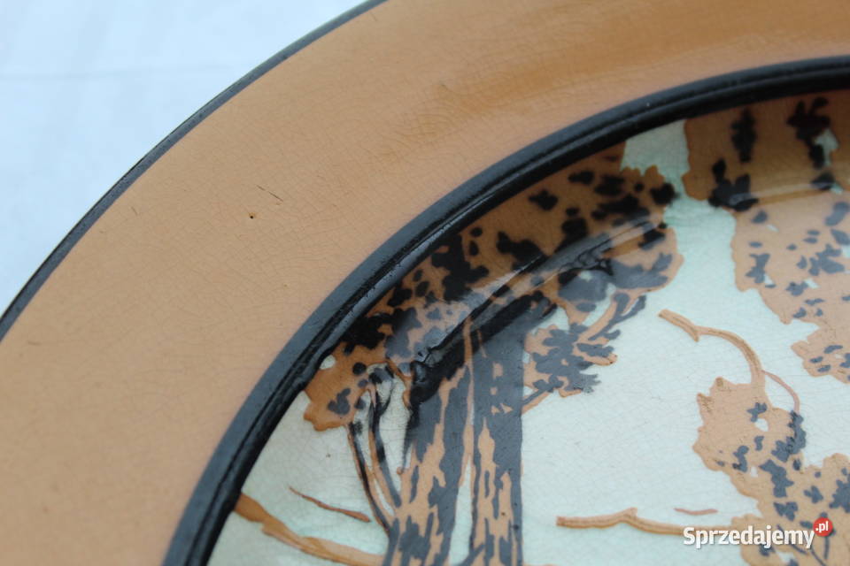 Villeroy Boch Talerz Dekoracyjny 325 Pejzaż 6865 śląskie Bielsko-Biała sprzedam