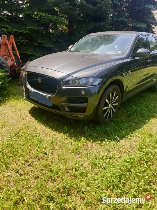 Jaguar Fpace jasna skora zadbany Złotoryja