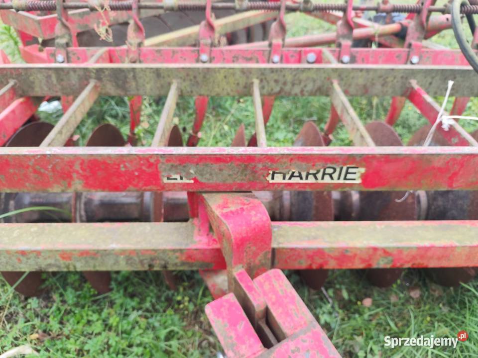 Talerzowa lira Harrie Nowe Miasto-Folwark