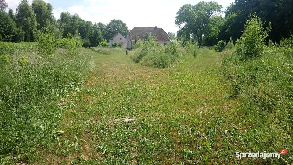 działka z warunkami zabudowy morzem Gostyń