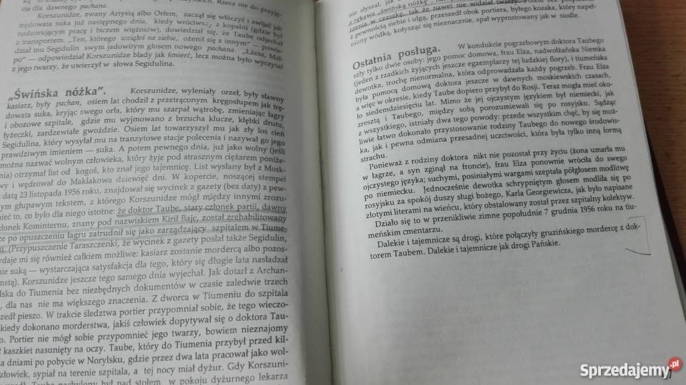 Grobowiec Borysa Dawidowicza siedem rozdziałów D