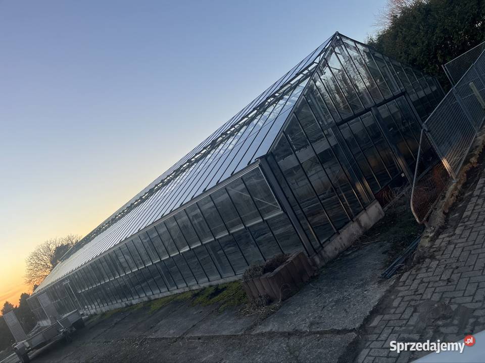 Szklarnia przemysłowa do rozbiórki 30m 10m Turek