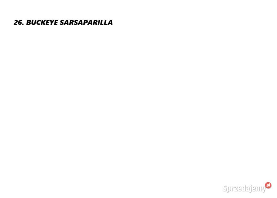 Fiołek afrykański santpaulia