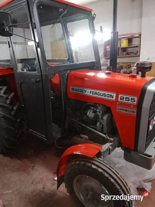 Ursus MF 255 3512 Gęsice sprzedam