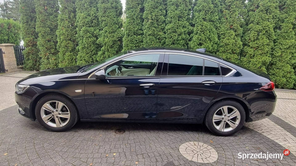 Opel Insignia 165 Bogata Wersja Jasne Skóry benzyna Płońsk