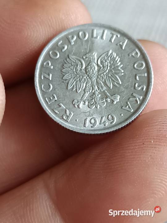 Sprzedam groszy 1949 vvv Chełm sprzedam