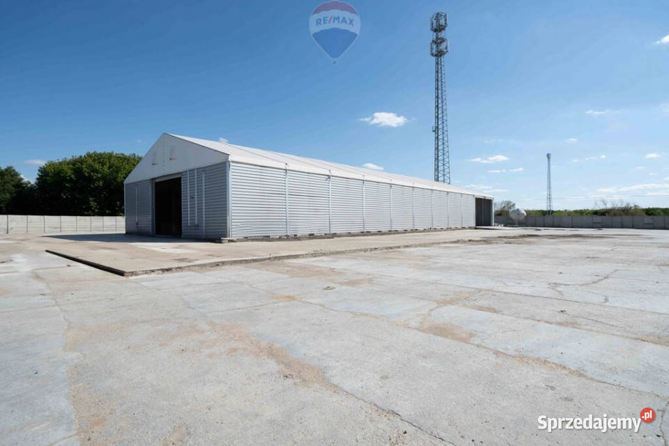 wynajmu Nowy Tomyśl Wynajem