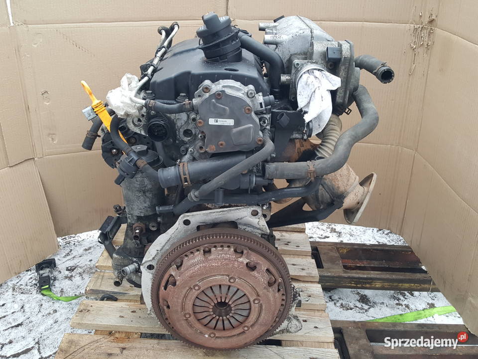 Silnik Vw Caddy III 20 SDI 312 kompletny 08r