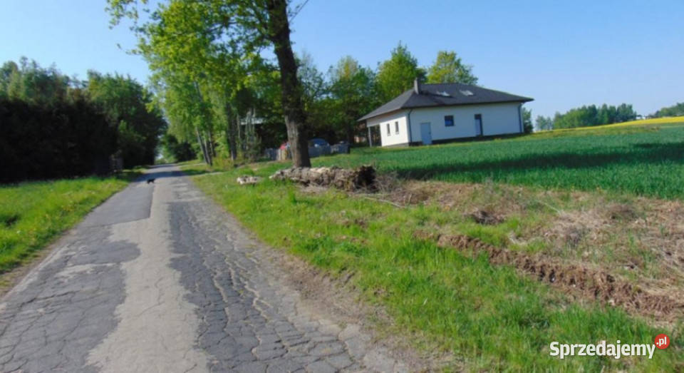 Syndyk Działka w miejscowości Ligota Woźnicka Woźniki