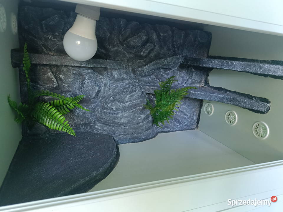 Terrarium drewniane 60x40x40 Reda