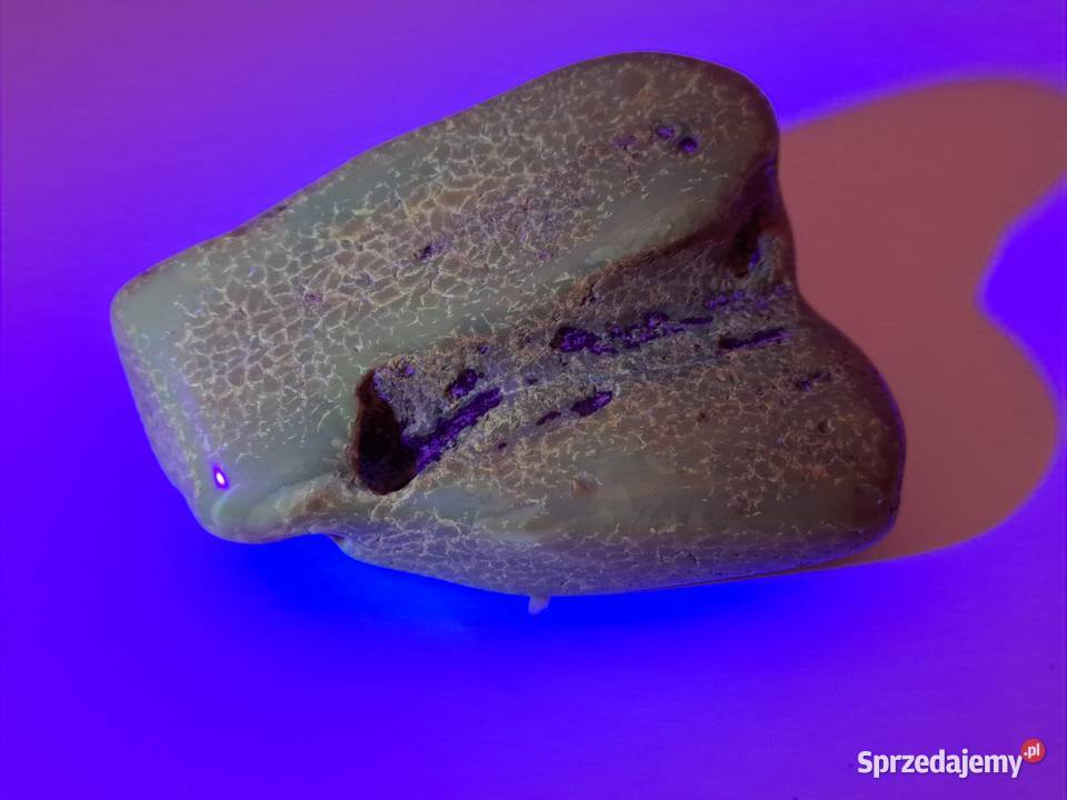 Broszka z bursztynu bursztyn bryłka 1495 Broszki Warszawa