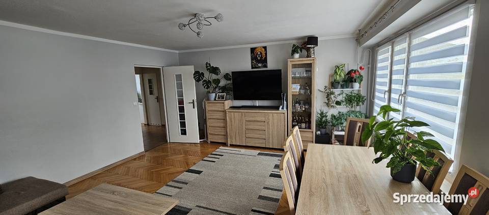 Mieszkanie 622 m 3pokojowe Tarnobrzeg sprzedam