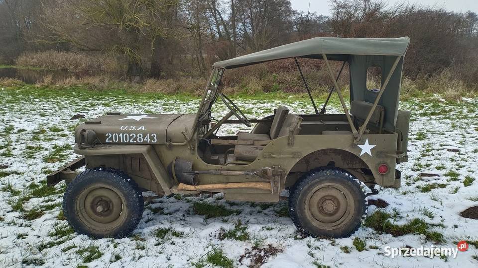 Willys MB Jeep zabytek Trzebiatów
