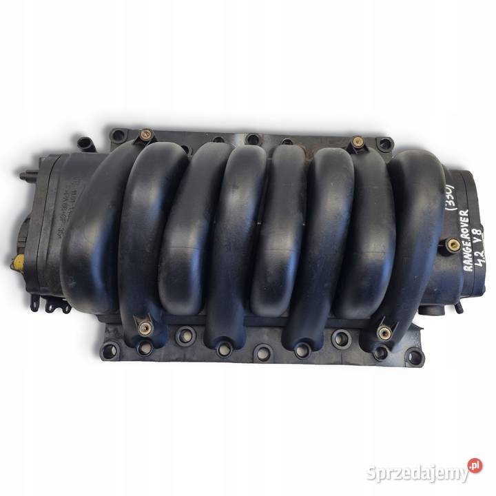 KOLEKTOR SSĄCY Range Rover III L322 44 V8 lubelskie Chełm