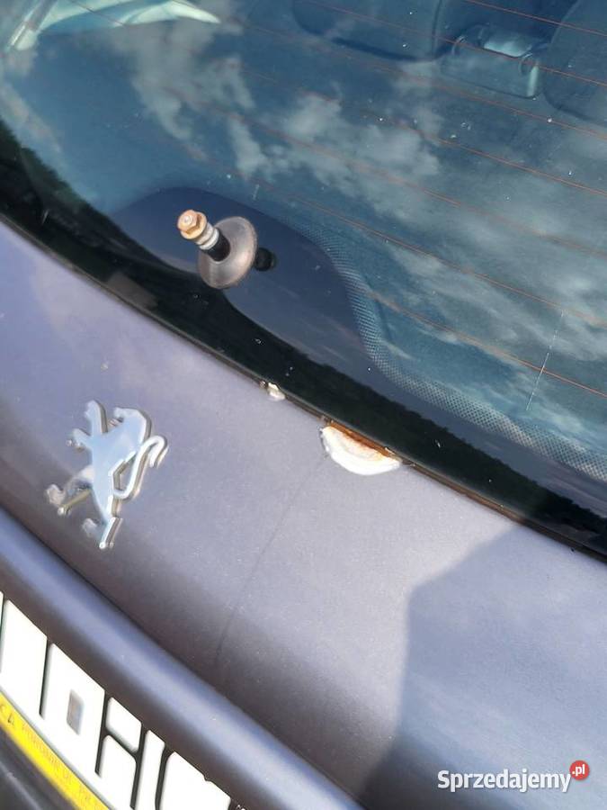 Peugeot 206 2010 Przebieg 134 Poronin