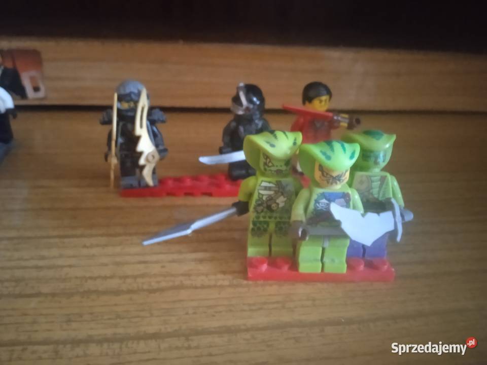 LEGO klocki z dodatkami Okonek