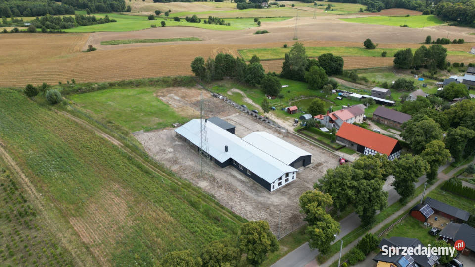 Hala 1200 m Plac 4000 m DK20 Moc 150 kW TIR Trzebiatkowa