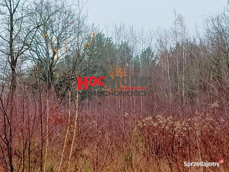 Działka budowlana o powierzchni 2981 m2 Stasi Las sprzedam