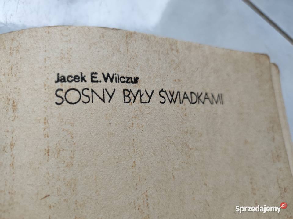 Sosny były świadkami Jacek Edward Wilczur ziemia miękka Kielce
