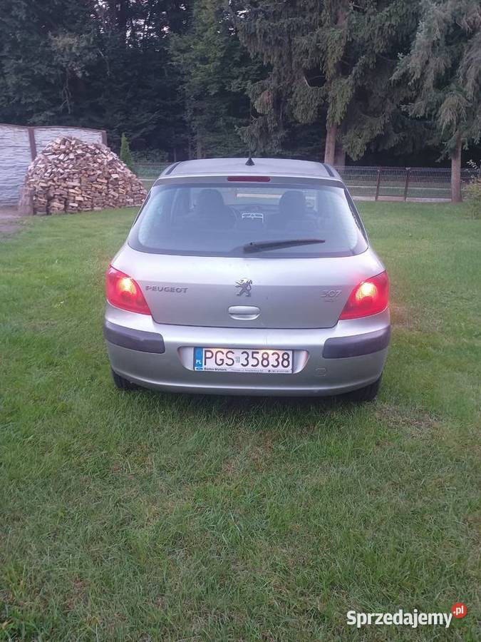 Peugeot 307 20hdi 90 2003r Hatchback wielkopolskie Czeszewo sprzedam