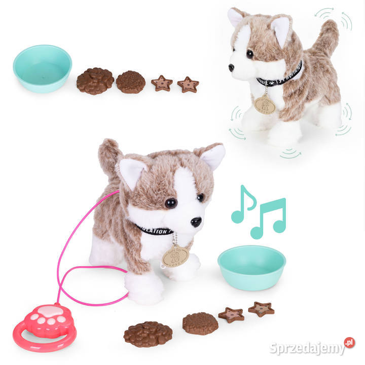 Interaktywny piesek na smyczy husky chodzi i Smogorzów