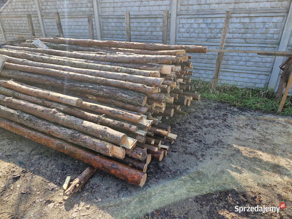 Stemple budowlane 3m34m 300sztuk Zduńska Wola