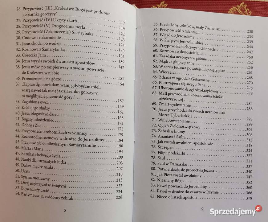 Biblia młodzieży Nita Abbestee Lędziny