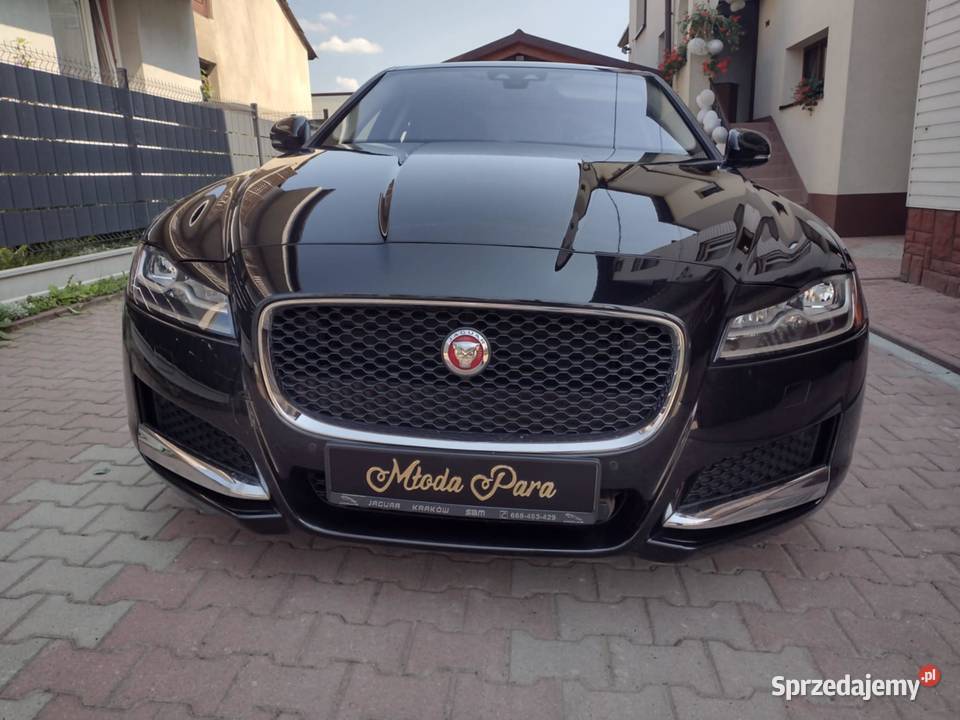 Jaguar xf x260 full led kompletny przód ryj