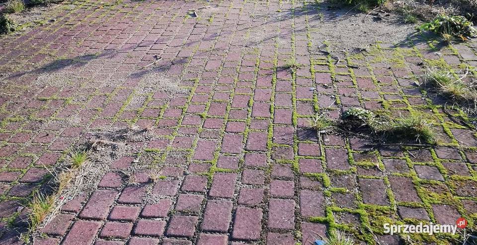 Usuwanie mchu z kostki cennik 504766203 Wrocław dolnośląskie