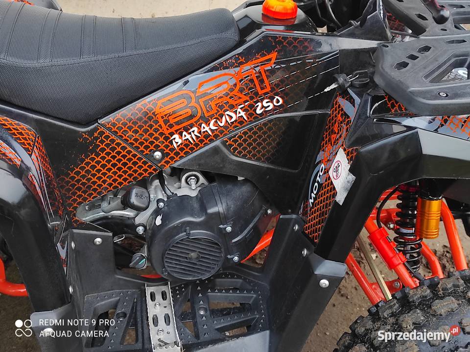 Quad 250CC Bertta stan nowykoła 10 przebieg 404 nieuszkodzony kujawsko-pomorskie Piotrków Kujawski sprzedam