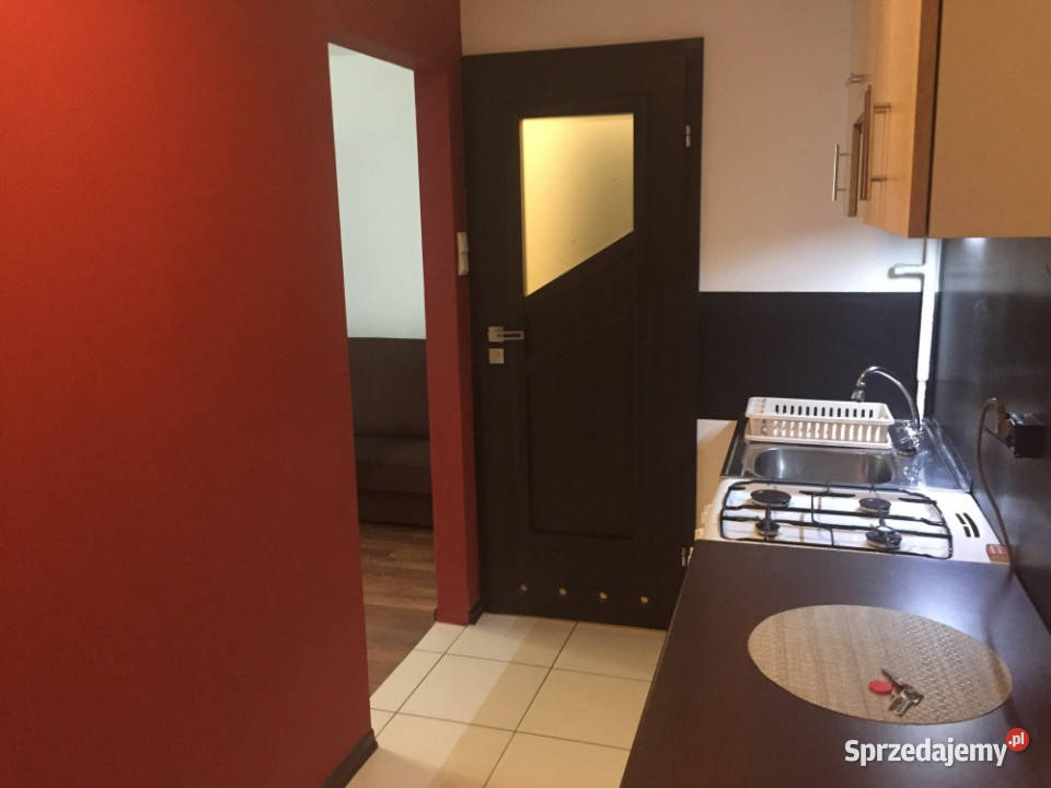 KRAKÓW PRĄDNIK BIAŁY AZORY WŁAŚCICIEL WYNAJMIE małopolskie