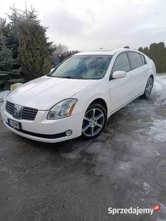 Nissan Maxima bg