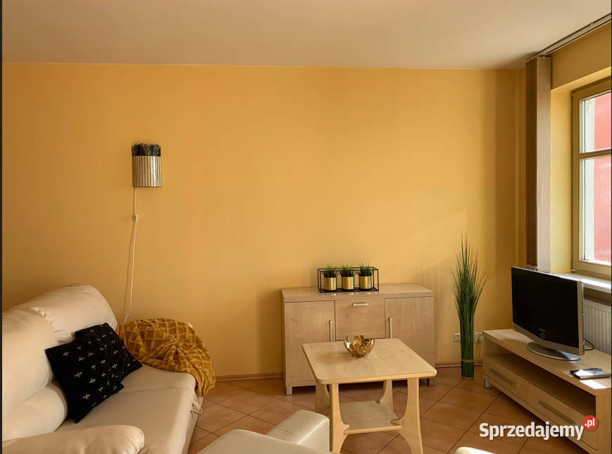 Duża kawalerka na wynajem Szczecin