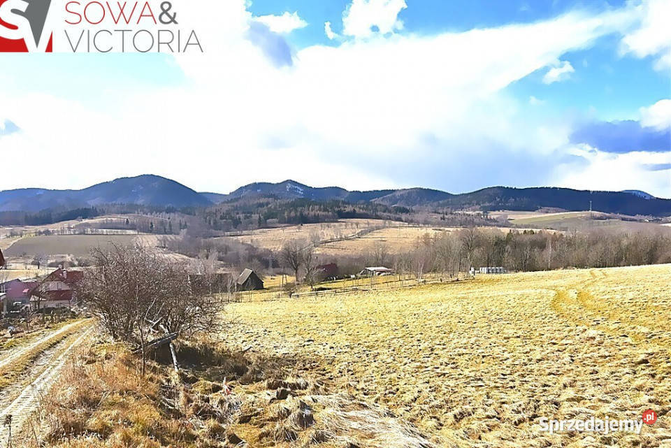 Słoneczna Widokowa Góry Sowie Olszyniec